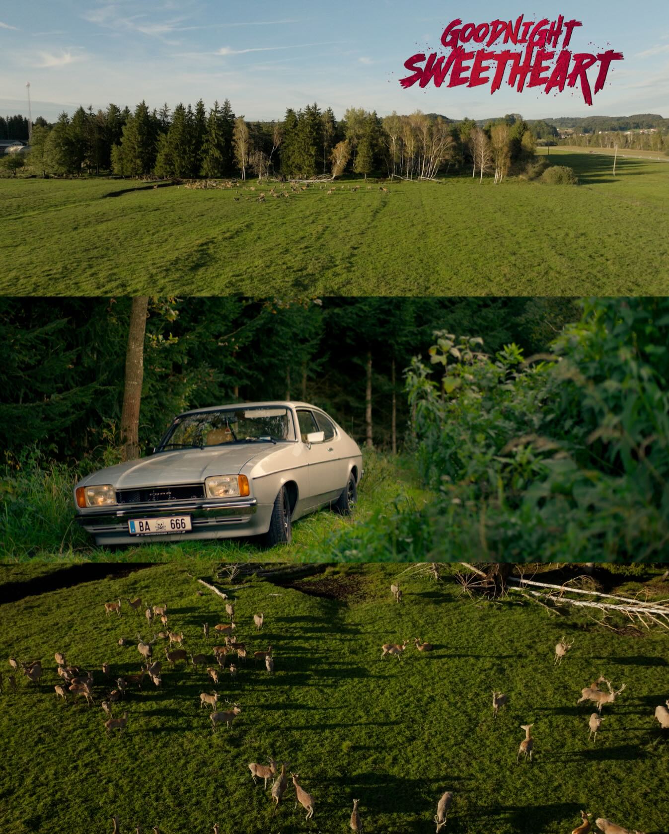 Fuck AI. Those were real deer in our movie.

#horrorshort #fuckai #horrorgram #filmstudents #filmmakerslife